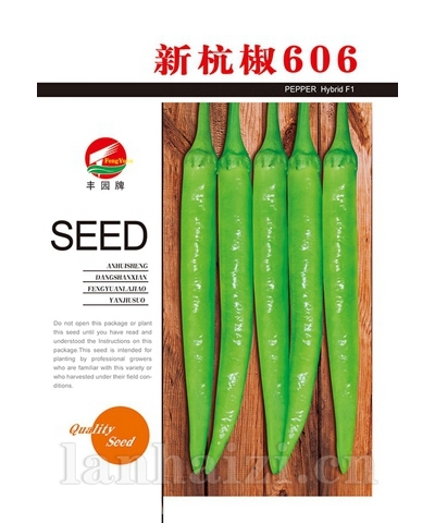 新杭椒606