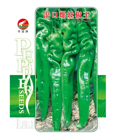 出口螺丝椒王