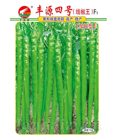 丰源四号