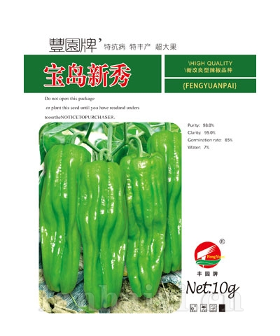 宝岛新秀
