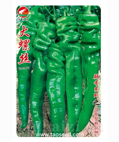 大螺丝