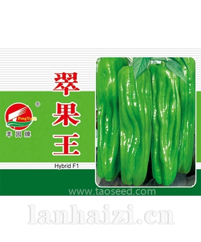 翠果王罐子