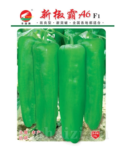 新椒霸A6