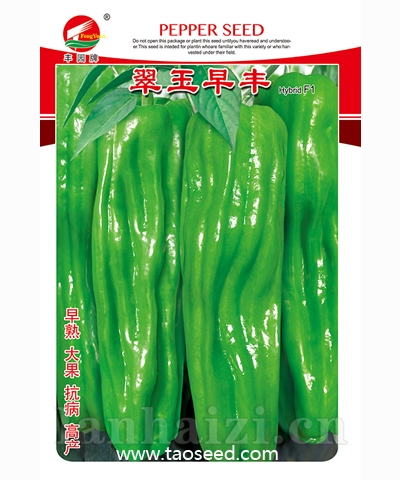 翠玉早丰
