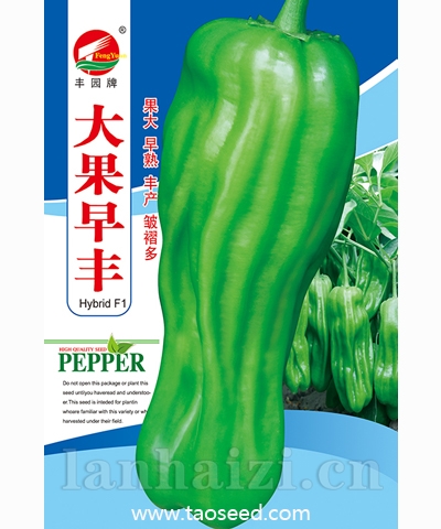 大果早丰罐子