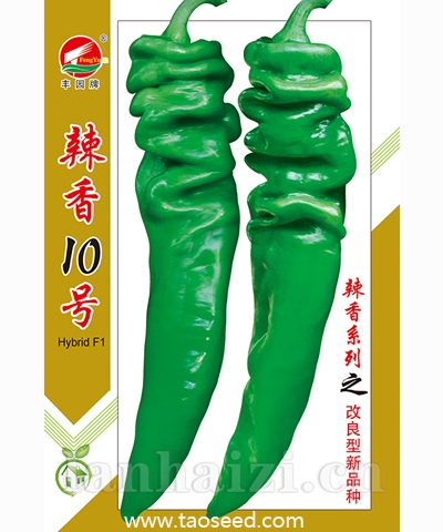 辣香10号