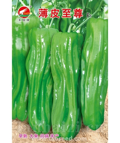 薄皮至尊