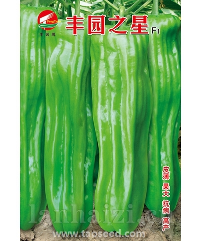 丰园之星
