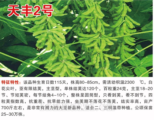 天丰2号