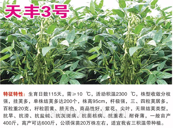 天丰3号