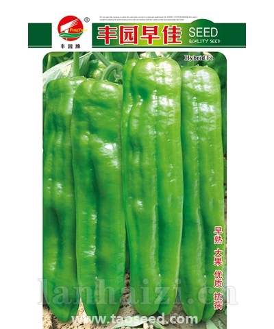 丰园早佳