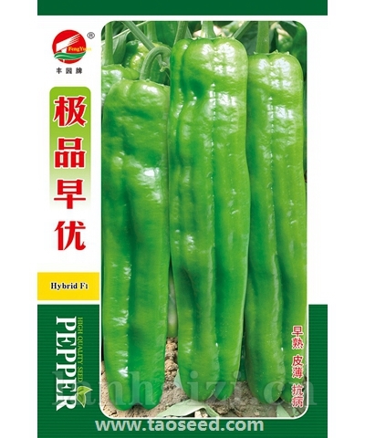 极品早优
