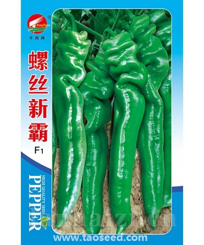 螺丝新霸