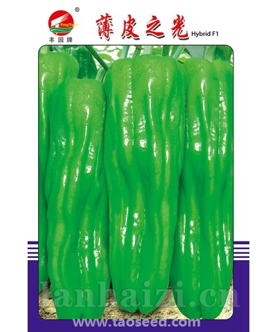 薄皮之光