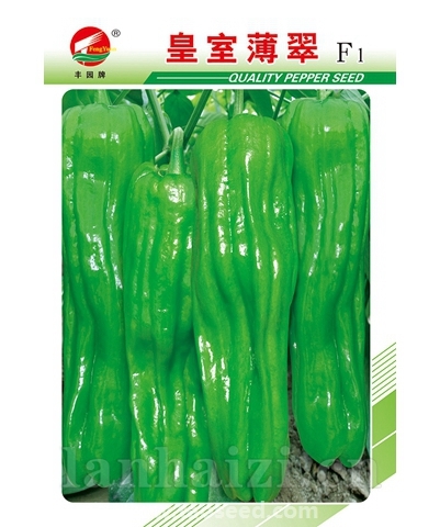 皇室薄翠