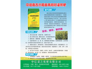 中信嘉吉水稻返青柯杈灌浆
