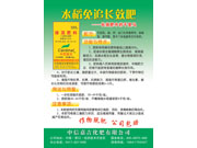 水稻免追长效肥
