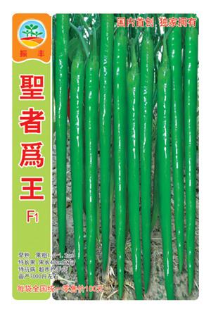 圣者为王--线椒种子