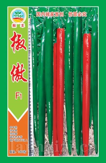 椒傲--线椒种子