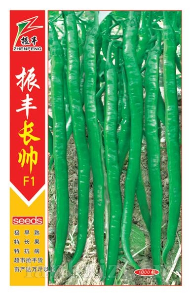 振丰长帅--线椒种子
