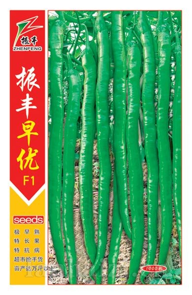 振丰早优--线椒种子