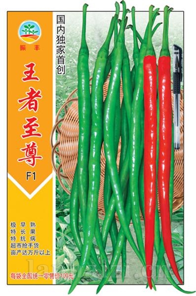 王者至尊--线椒种子