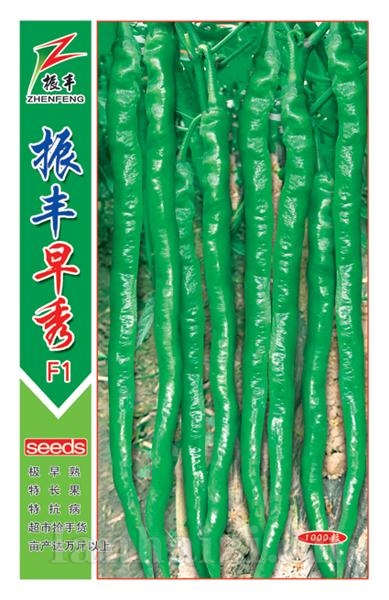 振丰早秀--线椒种子