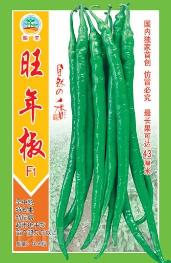 旺年椒--尖椒种子