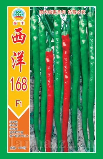 西洋168--尖椒种子