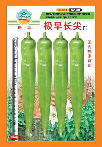 极早长尖--尖椒种子