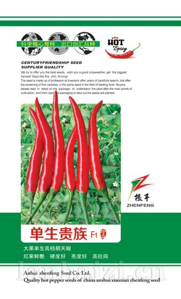 单生贵族--尖椒种子