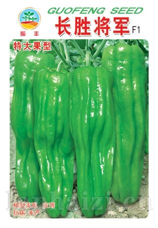 长胜将军--泡椒种子