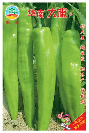 华南大椒--泡椒种子