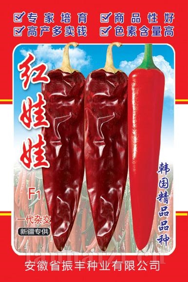 红娃娃--泡椒种子