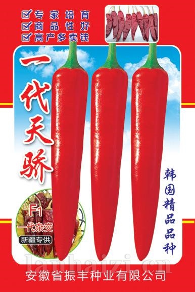 一代天骄--泡椒种子