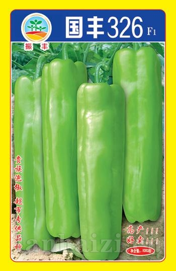 国丰326--泡椒种子