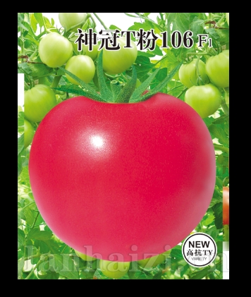 神冠T粉106——粉果番茄系列