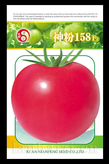 神粉158——粉果番茄系列