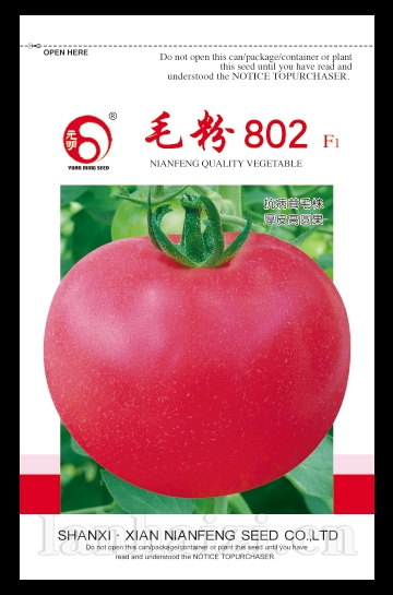 毛粉802——粉果番茄系列