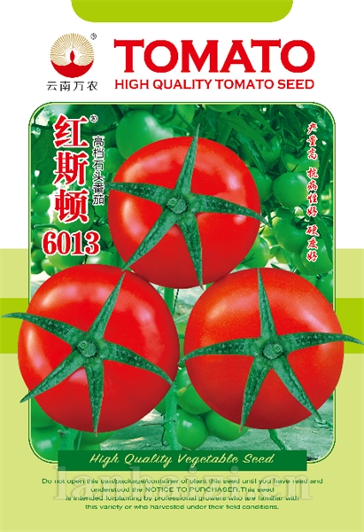 供应红斯顿6013--番茄种子
