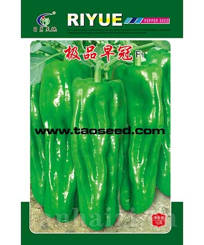 极品早冠
