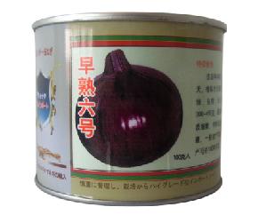 早熟6号--洋葱种子