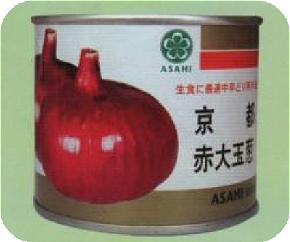 京都赤大玉葱--洋葱种子