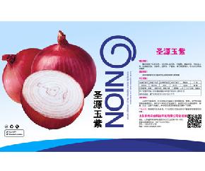 圣源玉紫——优质进口紫洋葱
