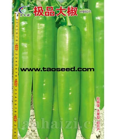 极品大椒
