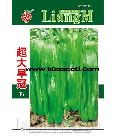 超大早冠