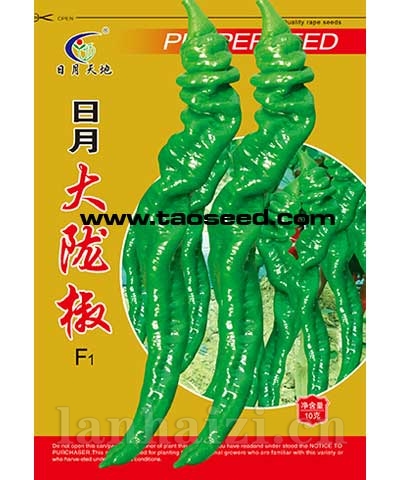 日月大陇椒