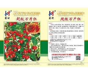 超级万斤红——优质杂交小番茄