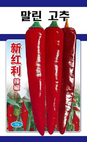 新红利辣椒