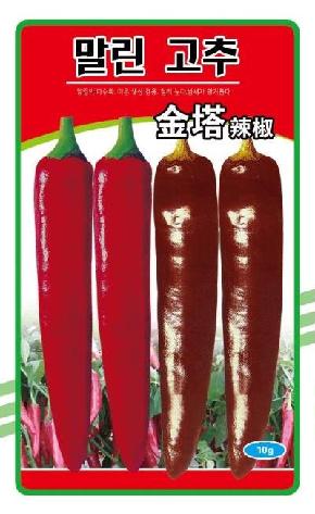 金塔辣椒